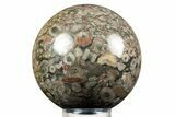 Fossil Crinoid Stems In Marble Sphere #308996-1